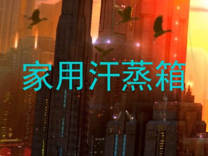 家用汗蒸箱