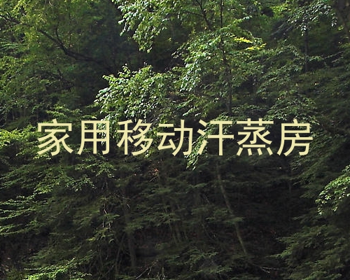家用移动汗蒸房