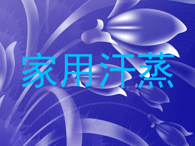家用汗蒸