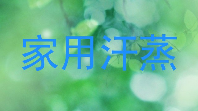 家用汗蒸