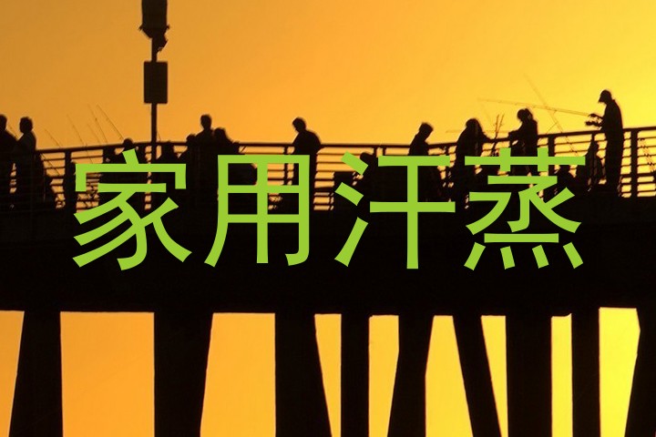 家用汗蒸