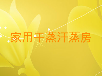 家用干蒸汗蒸房