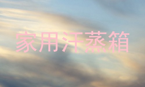 家用汗蒸箱