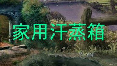 家用汗蒸箱