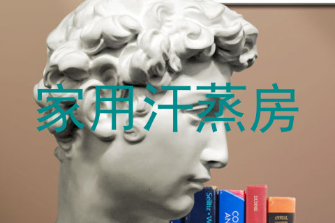 家用汗蒸房