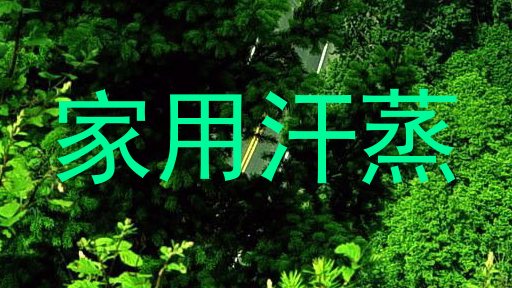 家用汗蒸