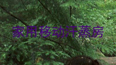 家用移动汗蒸房