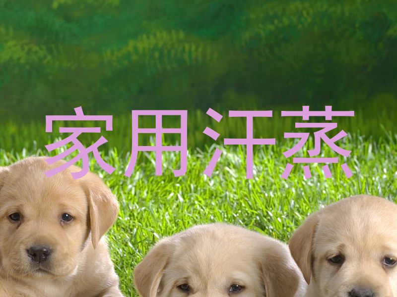 家用汗蒸