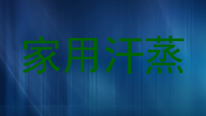 家用汗蒸