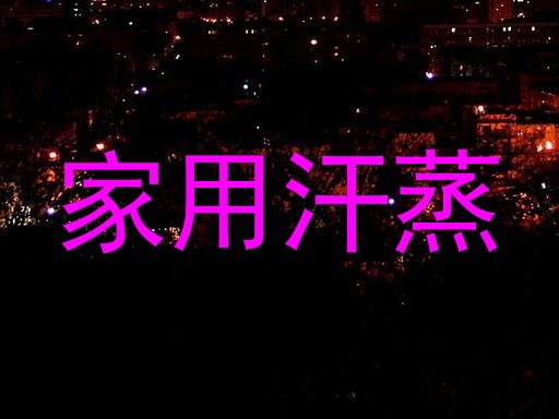 家用汗蒸