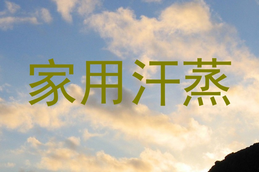 家用汗蒸