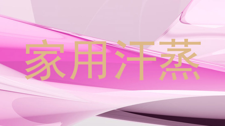 家用汗蒸