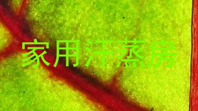家用汗蒸房
