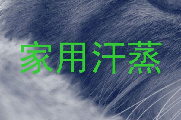 家用汗蒸