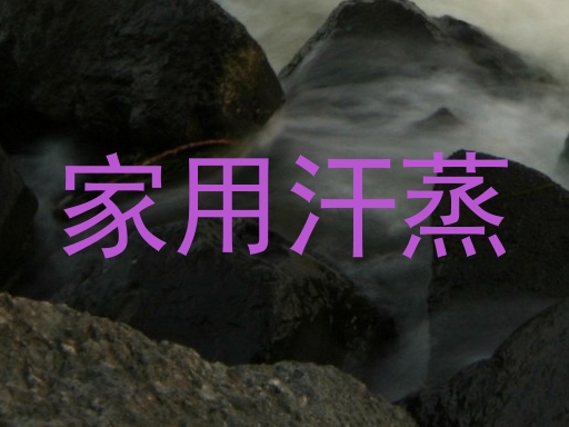 家用汗蒸