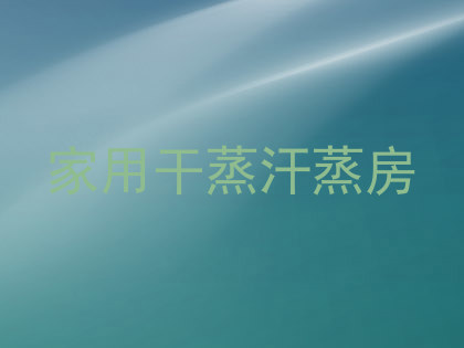 家用干蒸汗蒸房