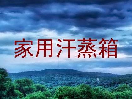 家用汗蒸箱