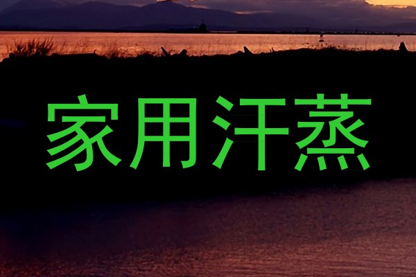 家用汗蒸