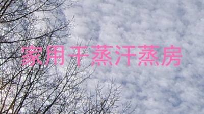 家用干蒸汗蒸房