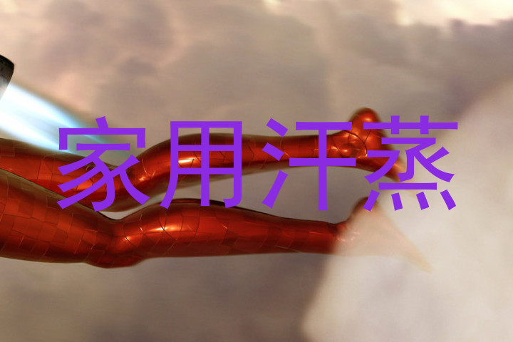 家用汗蒸
