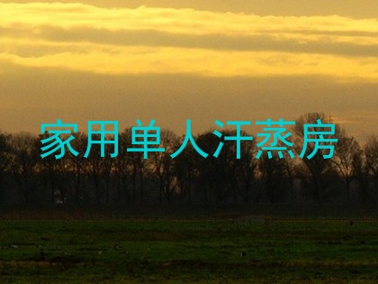 家用单人汗蒸房