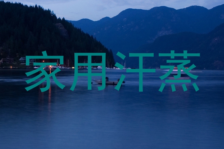 家用汗蒸