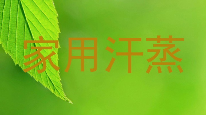 家用汗蒸