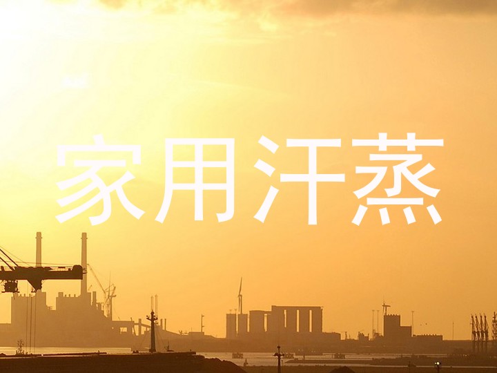 家用汗蒸