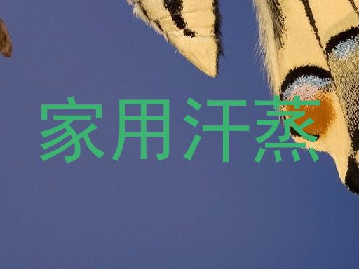 家用汗蒸