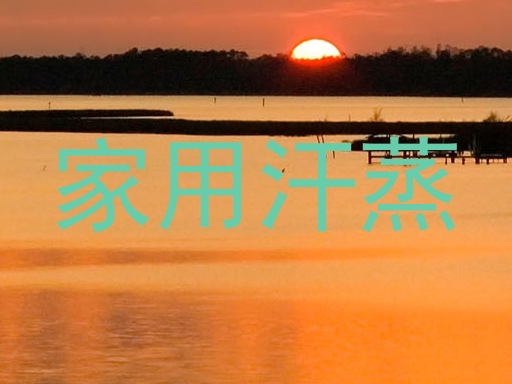 家用汗蒸