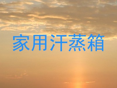 家用汗蒸箱