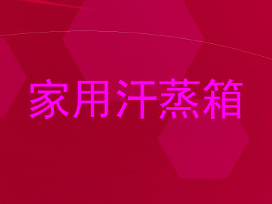 家用汗蒸箱