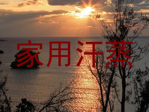 家用汗蒸