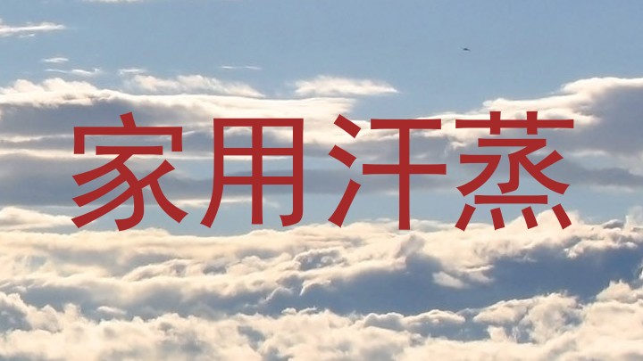 家用汗蒸
