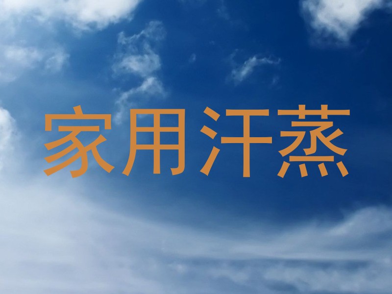家用汗蒸