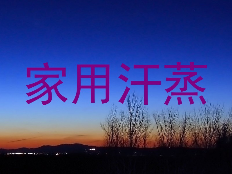 家用汗蒸