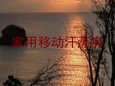 家用移动汗蒸房