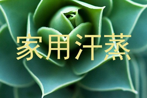 家用汗蒸