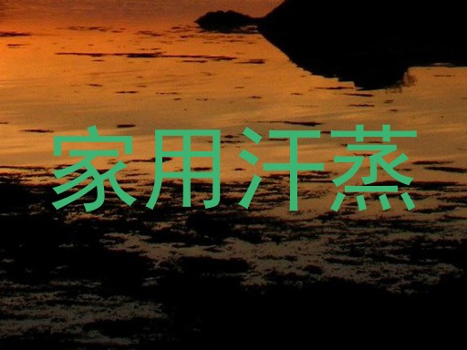 家用汗蒸