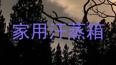 家用汗蒸箱