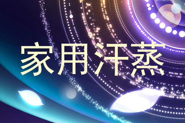 家用汗蒸