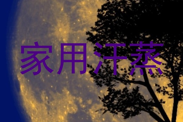 家用汗蒸