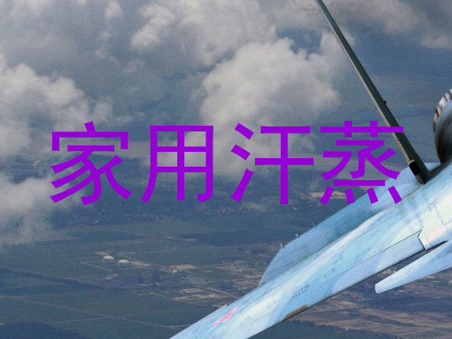 家用汗蒸