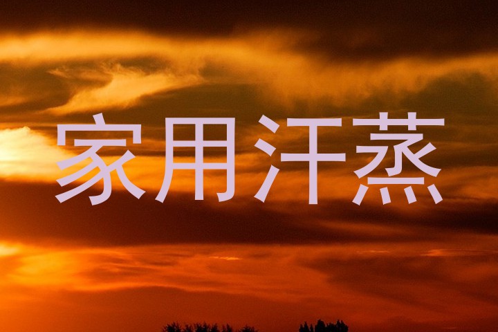 家用汗蒸