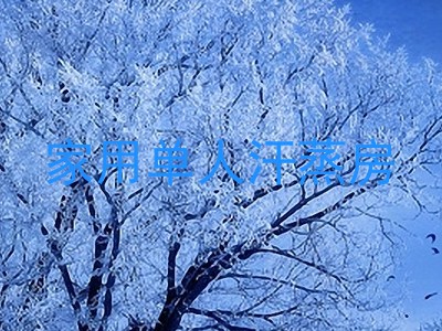 家用单人汗蒸房