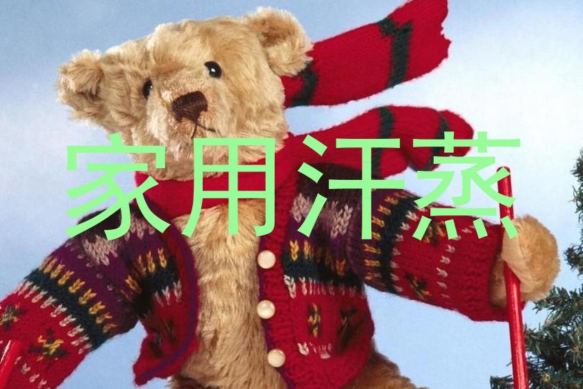 家用汗蒸