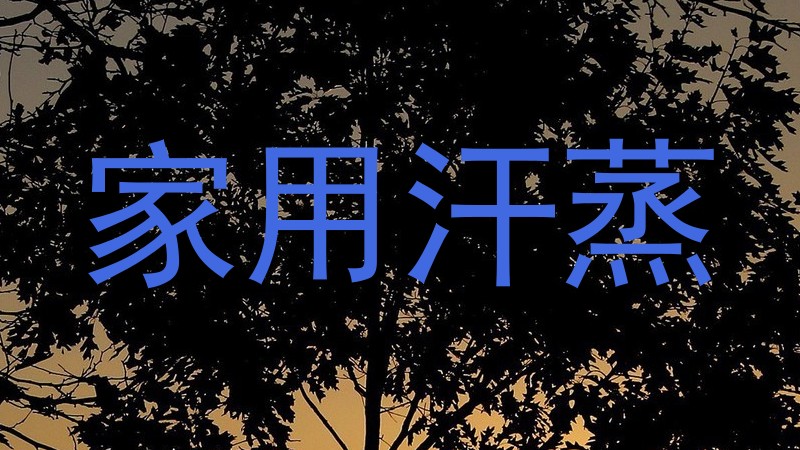 家用汗蒸