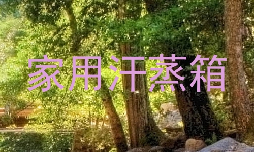 家用汗蒸箱