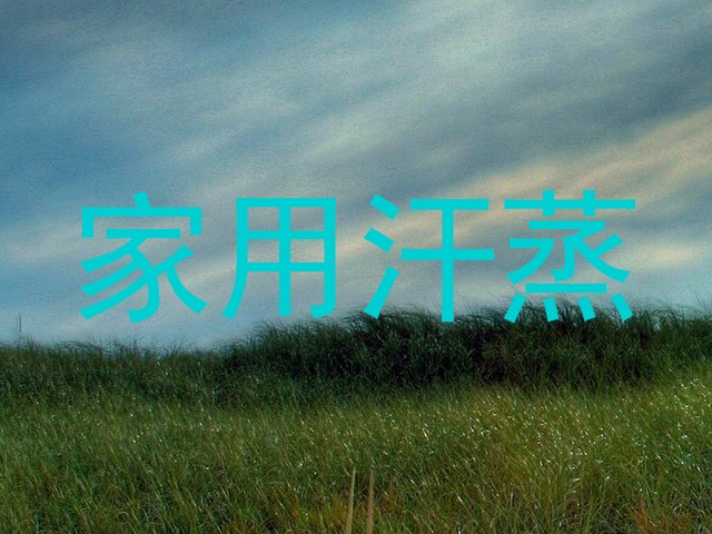 家用汗蒸