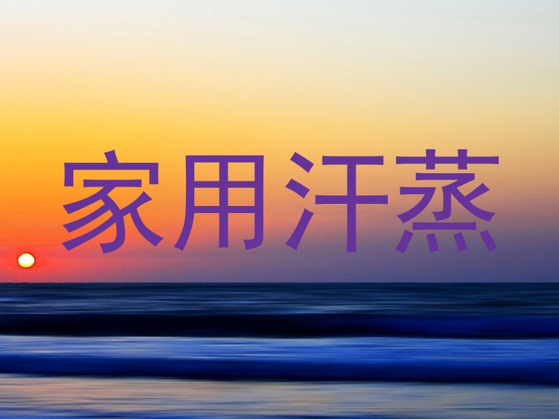 家用汗蒸
